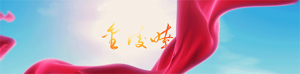 夏夜雨花正沸腾！越夜越精彩