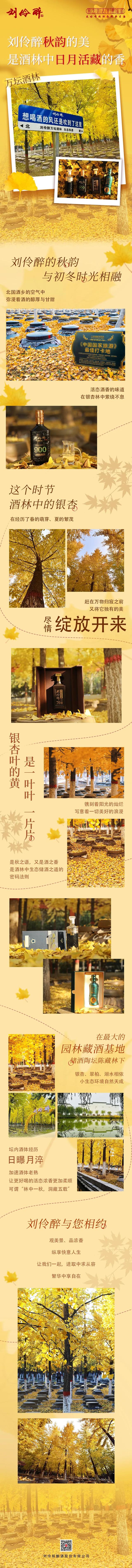 在刘伶醉，感受刘伶醉秋韵的美