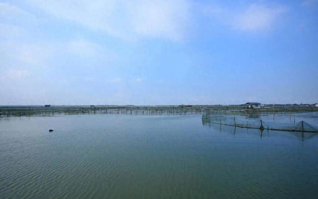 苏州有个低调的湖泊,面积比金鸡湖大很多,人气却相差甚远