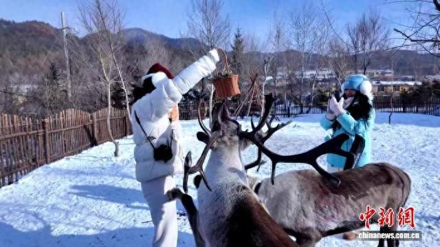 百年小镇横道河子文旅“上新”  解锁冬日新玩法