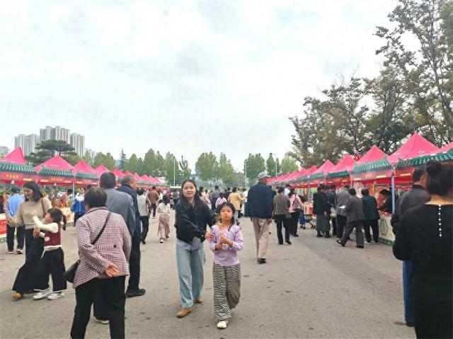 丰县文博园文旅盛宴：歌舞非遗映团圆 西游奇缘醉游​