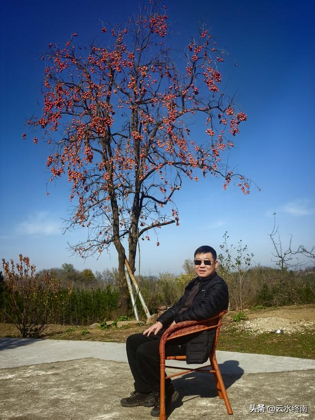 开车到蓝田这个岭上看柿子、观山景、晒暖暖，就是初冬最幸福的事
