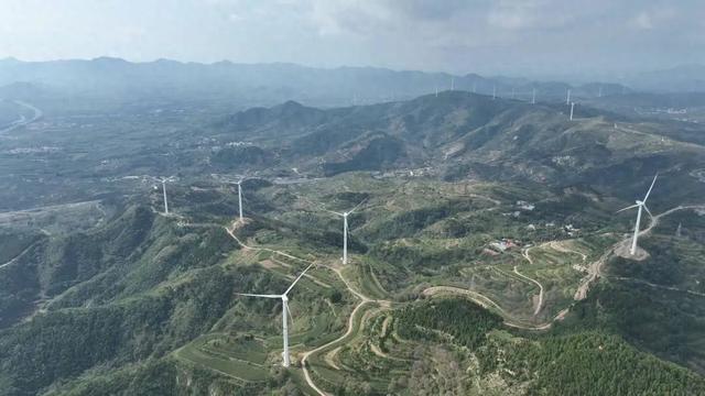 这个暑假，张夏带您开启一场全新的“乡村风情游”