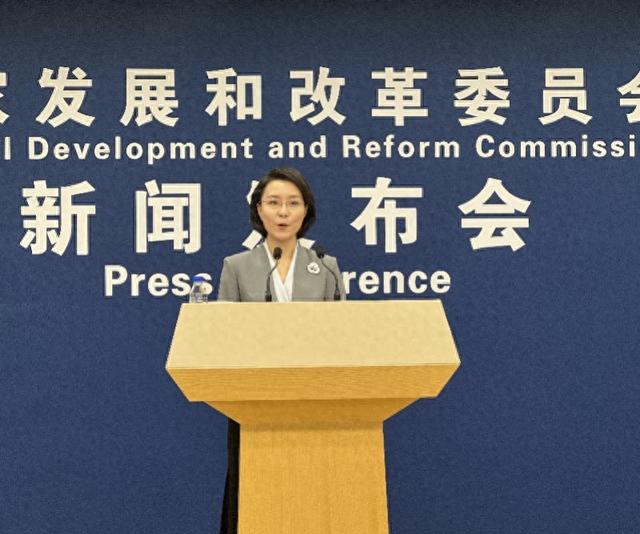 民企抢抓AI赛道，技术资金问题怎么解决？国家发改委答南都