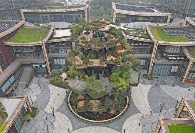打卡西安“生命之树”空中植物园