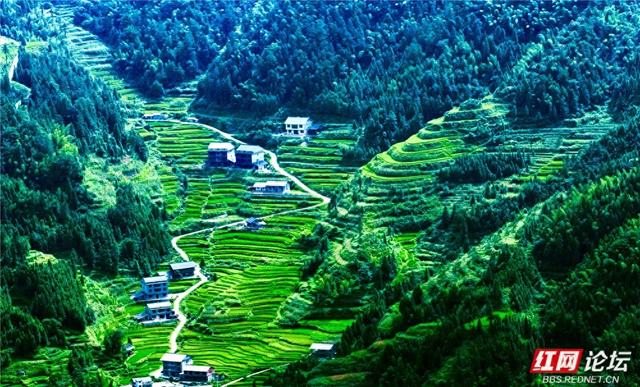【每日一图@湖南】雪峰深处的秘境：天门乡的瑶汉共生图景