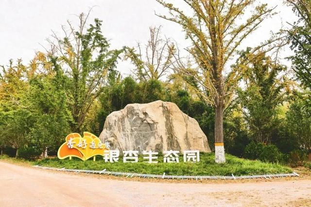 特别出片！潍城这里的“深秋限定”已到货，等你打卡