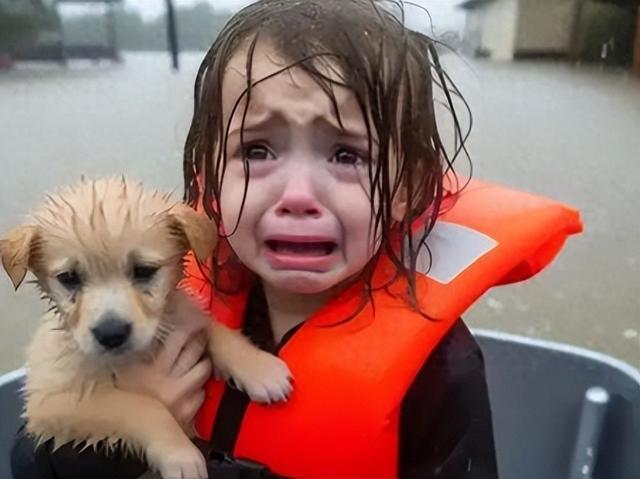 大陆板块的移动攻略（人类灭亡大局已定科学家推算人类灭绝日期）