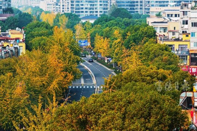 抓紧打卡！富阳人家门口的宝藏美景，错过要等明年！