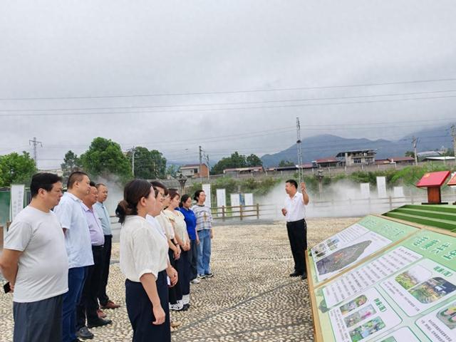 汉阴县双乳镇集镇社区人大代表联络站 | 考察荷塘景韵 建言发展新篇