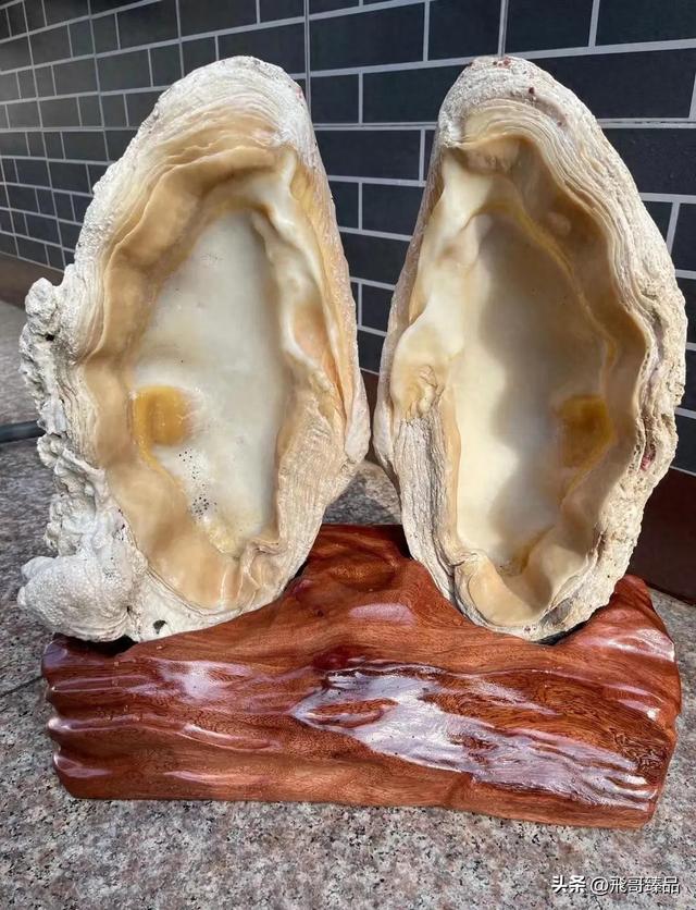 海南旅游避坑！这种“海宝”千万别买！买了就是坐牢！血亏！