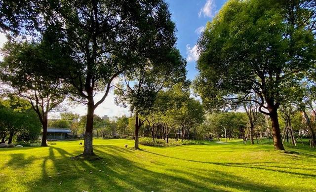 继大连之后，东北又一“黑马城市”要起飞，比哈尔滨更有底蕴