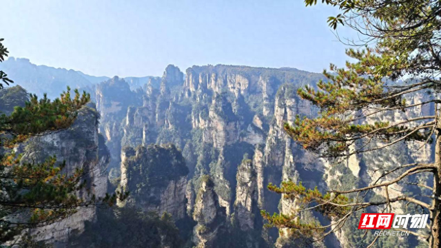 徒步鹞子寨：一场解压又痛快的山野之旅
