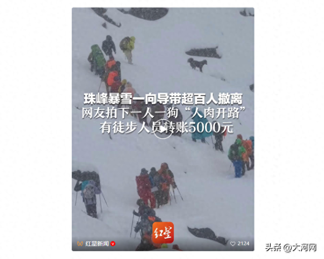 珠峰暴雪中，向导一人一狗带上百人撤离，有人转账5000元感谢，本人回应：确实有狗	，十几年没见过这么大的雪