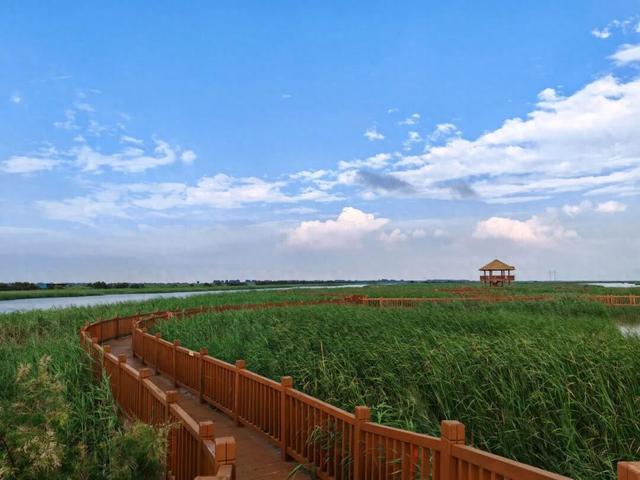 【黄河口生态旅游区】邂逅多彩黄河口，赴一场自然与生命的浪漫之约