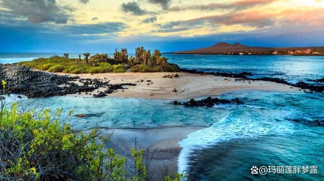 异国风情——厄瓜多尔见闻