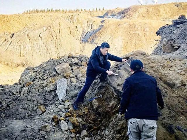 “国家一级”!山西阳泉太旧高速路改线工程现场发现