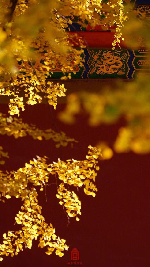 故宫秋日壁纸	，上新了！
