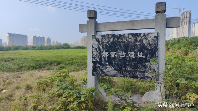 漯河历史文化遗迹之郝家台遗址
