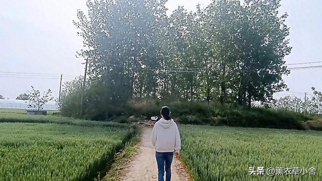 焦作一村庄因坟冢而得名，特产更是远近闻名
