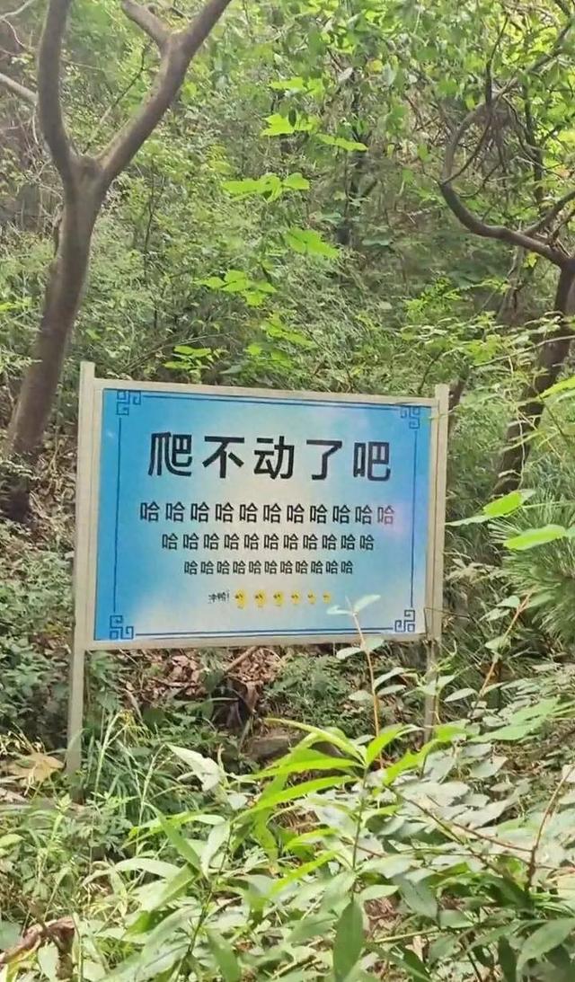 游客爬嵩山遇到魔性“加油”牌：爬不动了吧，哈哈哈哈哈……，瞬间来劲儿爬到山顶