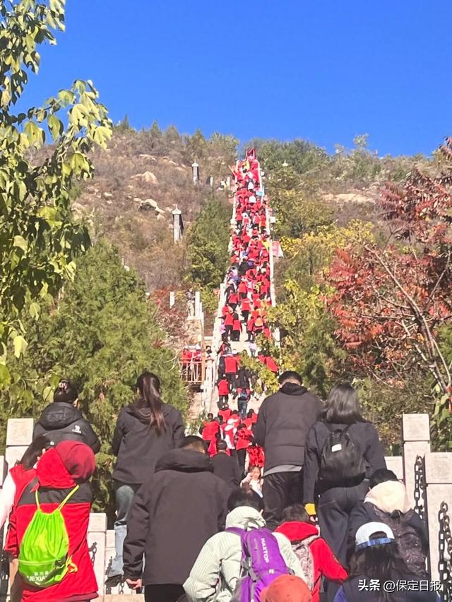 2025年河北省“九九重阳”全民健身主题活动在保定启动