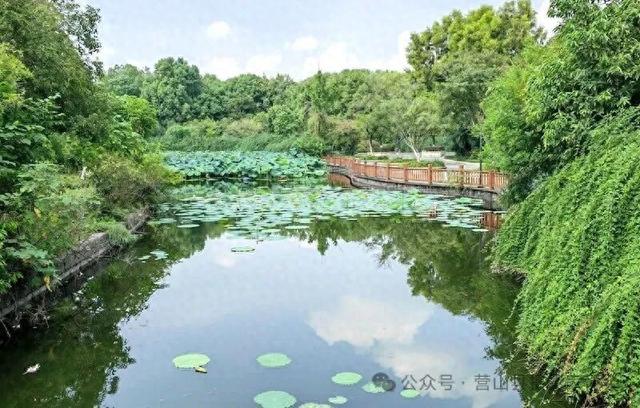 李永辉：水墨画卷——成都南湖公园