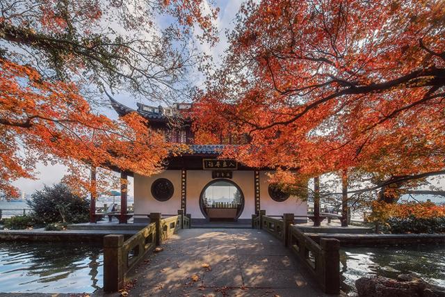 0元追！杭州徒步圈最强“顶流”上新，大片红枫爆红了