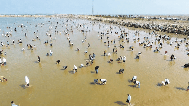 龙威赶海垂钓园：趣味不停歇 赶海乐趣正当时