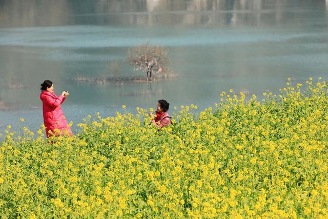 别等春天！陇南的冬日密语里，藏着限定版春日烂漫