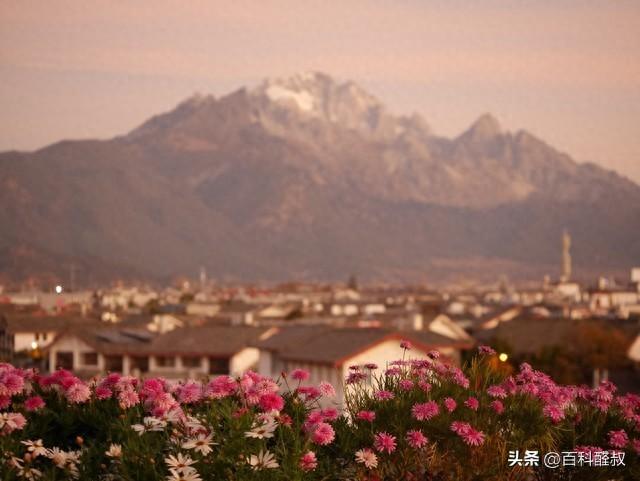 丽江民宿的平均价格是多少？