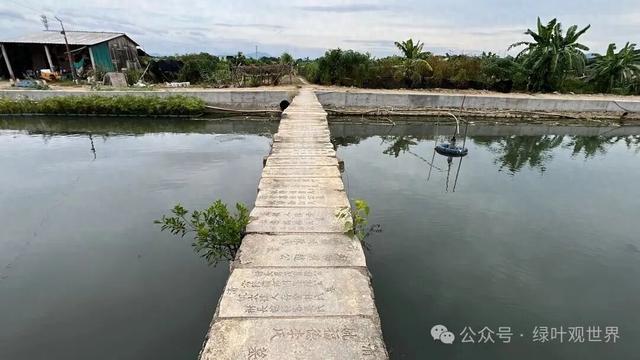 潮汕“奈何桥”，晚上你敢走吗？