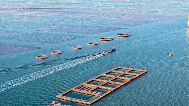 国际海洋数据“断链” 多省谋求海洋大数据突围