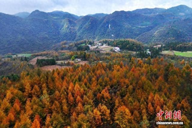 湖北恩施：红黄绿黛绘斑斓