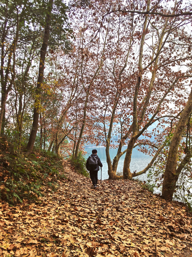 成都西门1h小众免费徒步地，野趣十足、值得N刷！