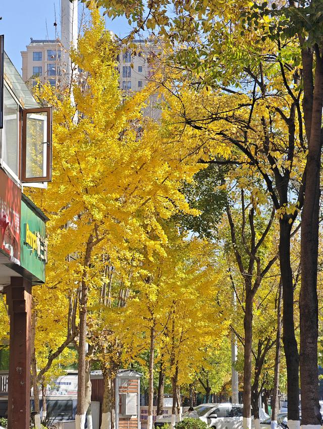 昆明的冬天真的美