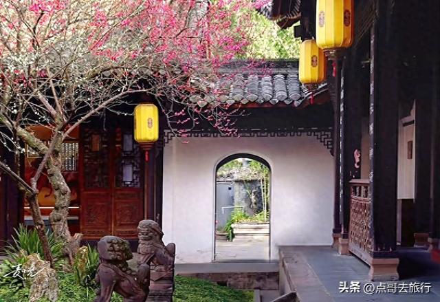 成都唐代园林梅花开了，被严重冷落，红墙青瓦，美到震撼！