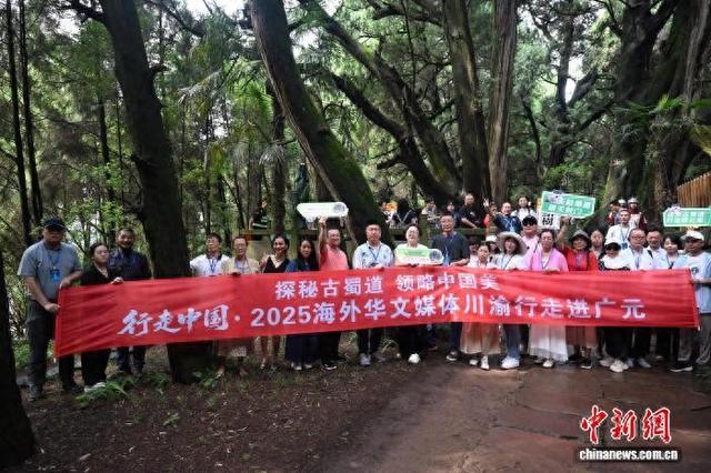 华文媒体行走翠云廊 领略千年古蜀道之美