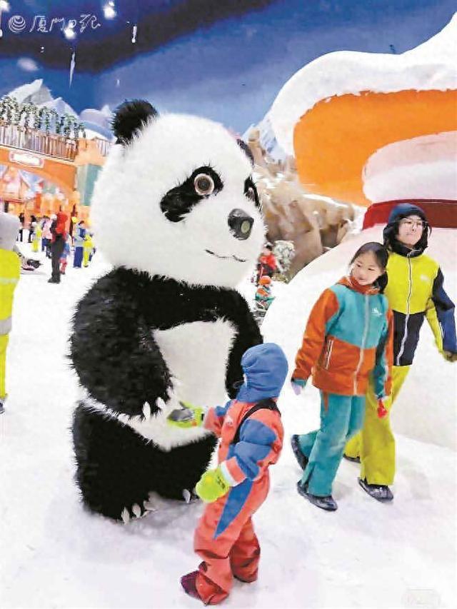 “室内经济”升温！厦门文旅市场“避暑游”热度高