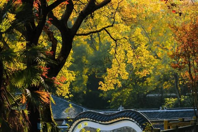10月，错过这座距离长沙高铁仅22mins的千年瓷都，我会遗憾整个秋天~
