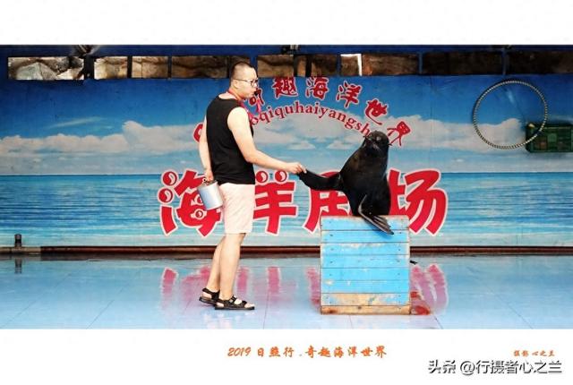 山东行游影记（92）—日照奇趣海洋世界（三）