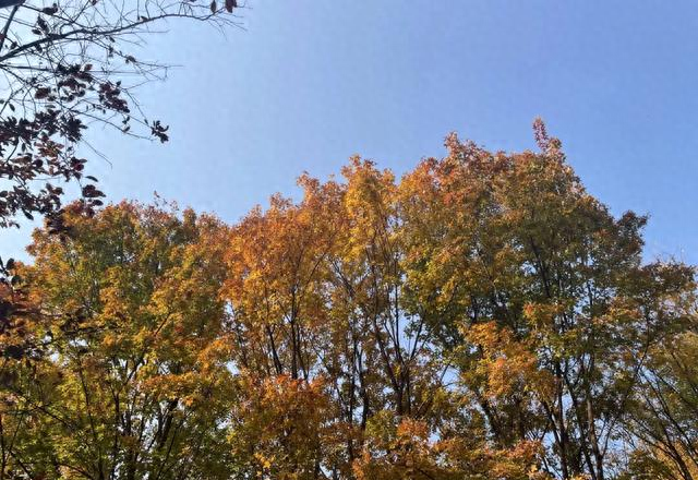 心理学家：和青春期孩子相处，装聋作哑、心宽手懒、演技好