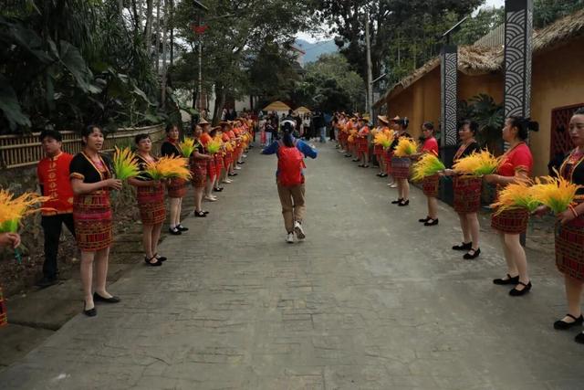 多图+视频！一起回看2025年白沙“啦奥门”雨林与您山兰文化活动精彩瞬间