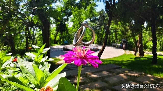 【乐游烟台】来呀，来“拈”花，来“惹”草！