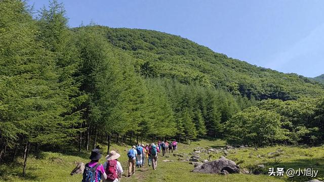 两次本溪南岭徒步记|高山草甸,湖池松林,我被南岭种草