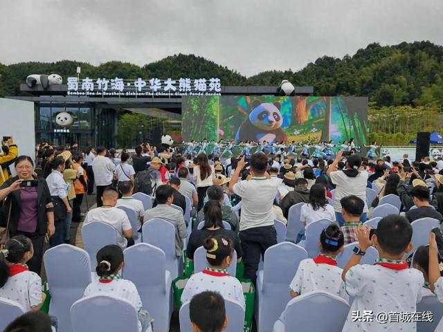 4只大熊猫入住蜀南竹海！预计今年“十一”国庆假期正式对外开放
