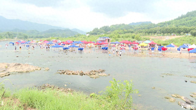 安徽舒城：俞家河滩成“网红避暑胜地” 政企民合力打造特色旅游品牌