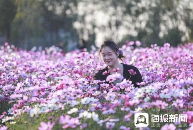 视觉山东一周图选（2025年第44期）