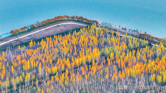 郧阳如画卷 窗含古今色