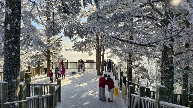 成都的初雪已上线！快来赴一场冬日浪漫之约